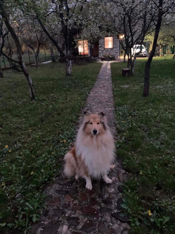 Country House บีฮัช ภายนอก รูปภาพ